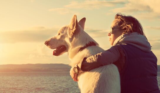 ¿Es bueno para la salud tener perro?