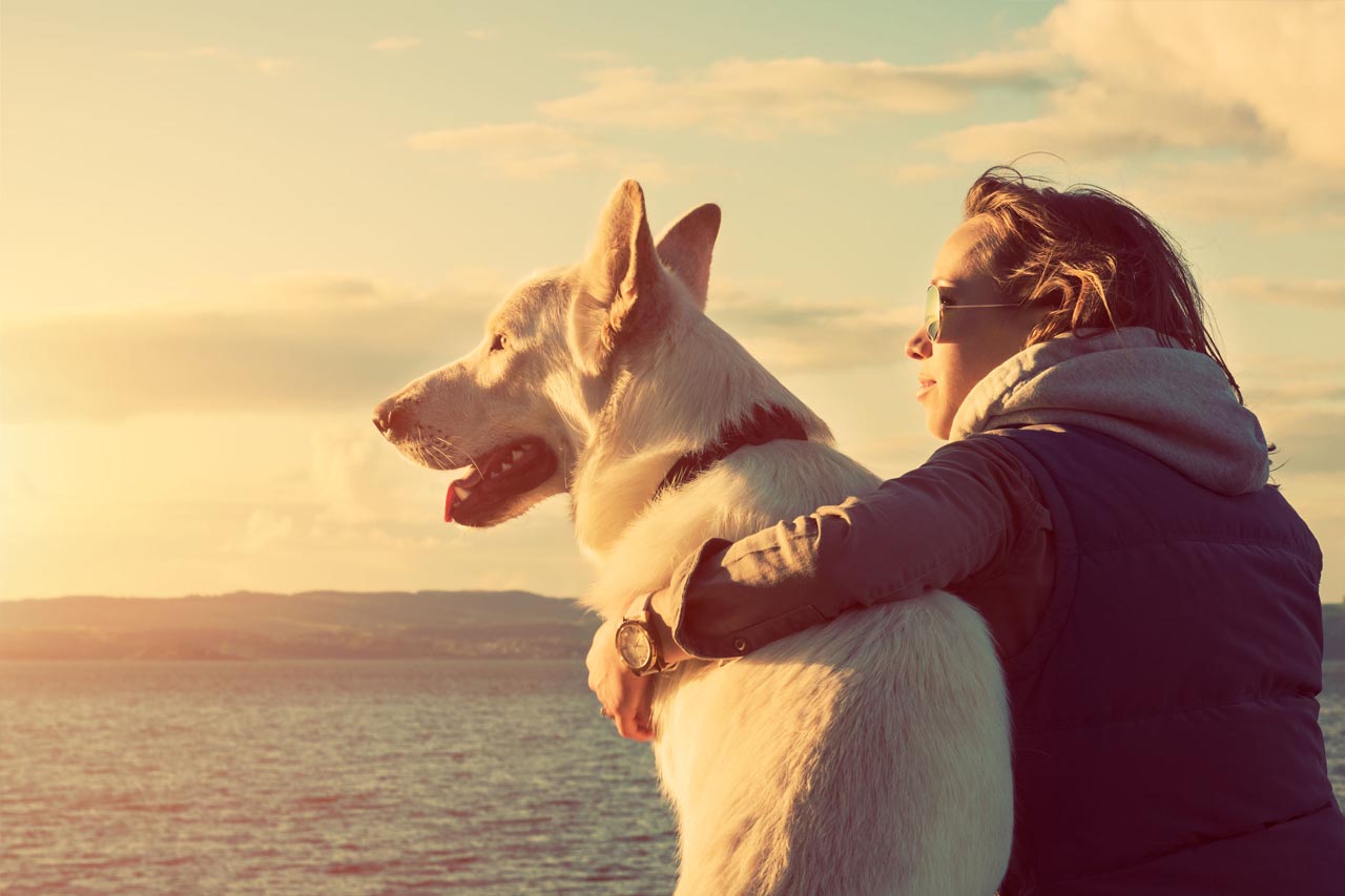 perro y salud cardiaca