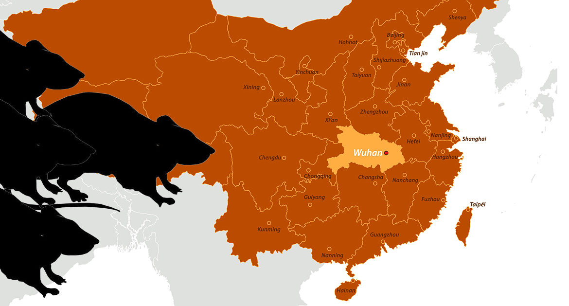 El nuevo virus de China: La cuarta persona muere al confirmarse la transferencia de humano a humano