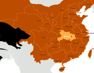 El nuevo virus de China: La cuarta persona muere al confirmarse la transferencia de humano a humano