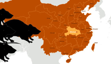 El nuevo virus de China: La cuarta persona muere al confirmarse la transferencia de humano a humano