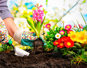 ¿Cómo mantener tu jardín de forma sostenible en verano?