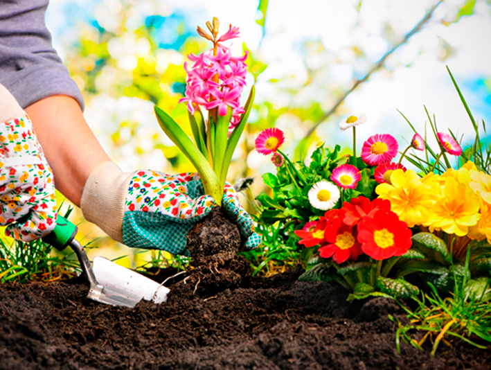 Cómo mantener tu jardín de forma sostenible en verano