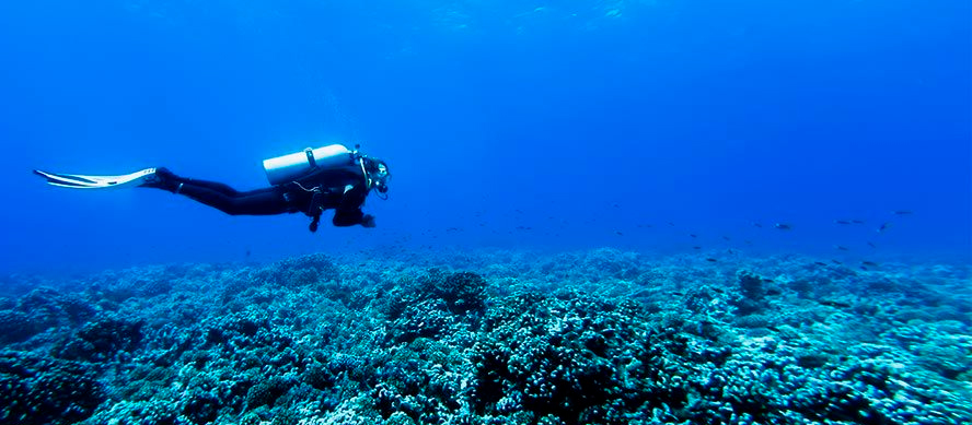 Buceo en Ibiza