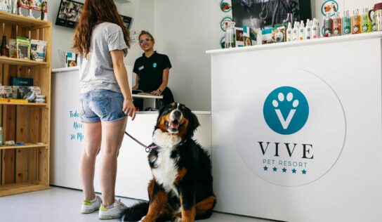Vive Pet Resort, marca referente en el hospedaje de mascotas, confía en Tormo Franquicias para expandirse