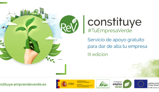 Arranca nueva edición de Constituye #TuEmpresaVerde, el servicio orientado a la creación de negocios verdes