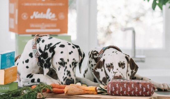 Natuka lleva el concepto ‘realfooding’ al mundo de las mascotas con menús personalizados a domicilio