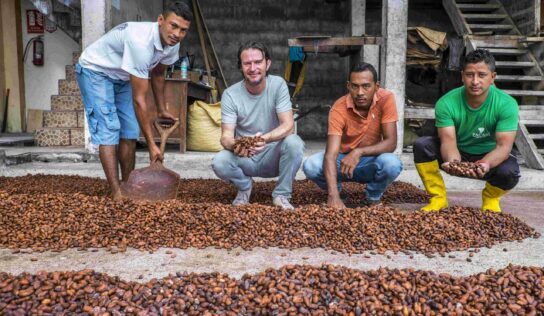 Paccari: La vuelta al mundo con aroma a chocolate justo en el día mundial del cacao