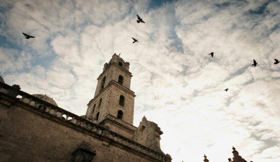 Día Internacional de las Catedrales: Plagas de aves, la amenaza que pone en riesgo el patrimonio histórico