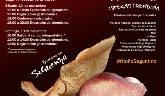 Vuelven las Jornadas Micológicas a Sigüenza, de la mano de su Plan de Sostenibilidad Turística