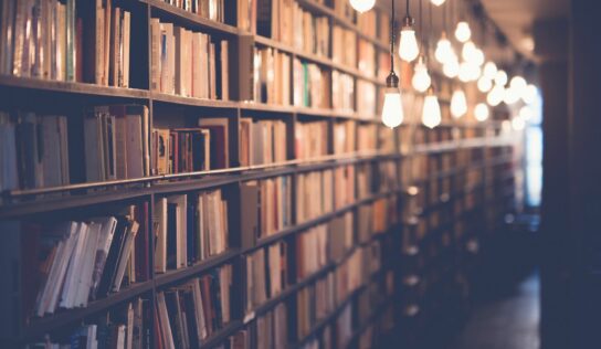 Encontrar bibliotecas, universidades o museos más cercanos gracias a Ludico Business