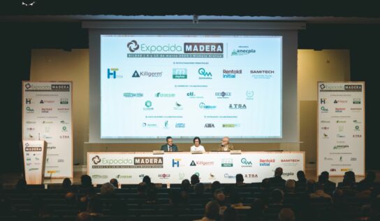 Regreso al pasado: construir en madera como solución al cambio climático