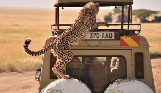 UDARE, safaris por África, Trekkings y viajes de aventura