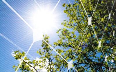 Por qué merece la pena pasarse a la fotovoltaica