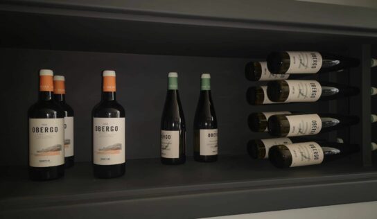 ¿El color del vino importa? Obergo explica las diferencias entre vino tinto, rosado y blanco