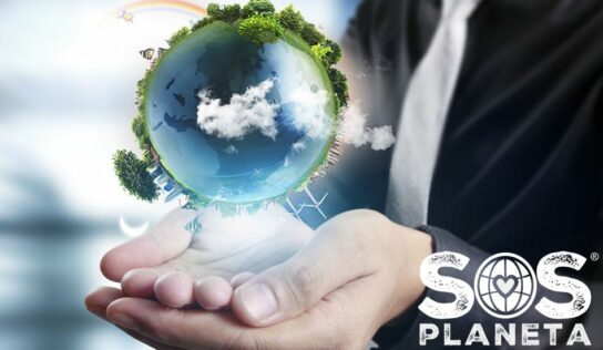 La ecologización es la clave del éxito empresarial en 2023 por SOS PLANETA