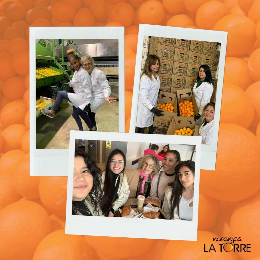 Naranjas la Torre: Sabor a Valencia directo al hogar