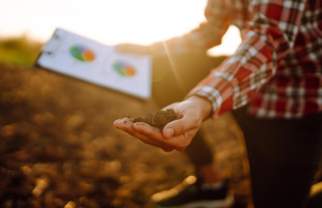 Ebserco lidera el mercado de la asesoría especializada en el sector agrario y ganadero