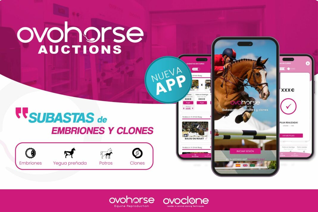 La App de subastas Ovohorse Auctions lanza un embrión de «Chacco Blue»