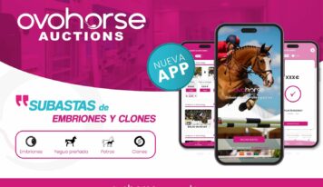 La App de subastas Ovohorse Auctions lanza un embrión de «Chacco Blue»