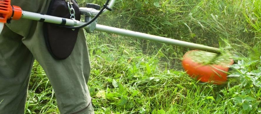 Desbroces: control de maleza y prevención de incendios Desbroces: control de maleza y prevención de incendios