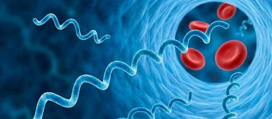 El diagnóstico: un desafío para la ciencia