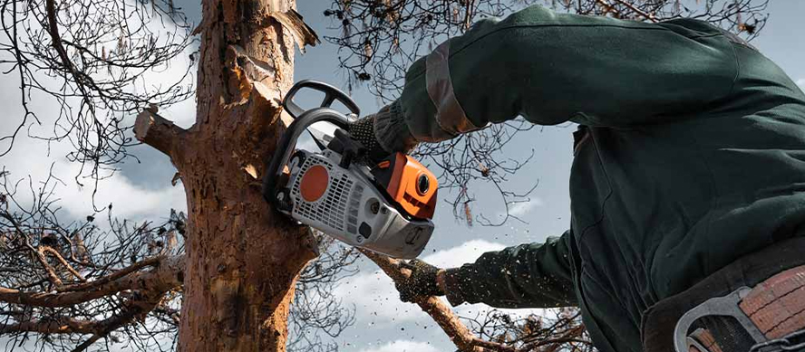 Prevención de riesgos para personas y bienes